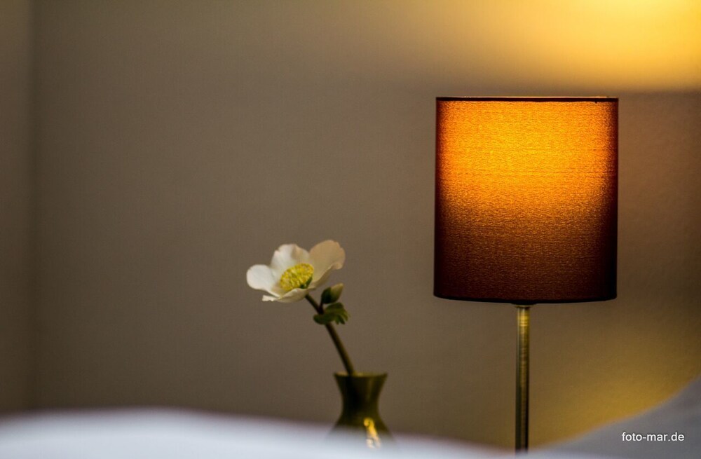 Maxhof Trier Ferienhausvermietung Ferienappartements Trier FEWO Trier in Trier, Germany