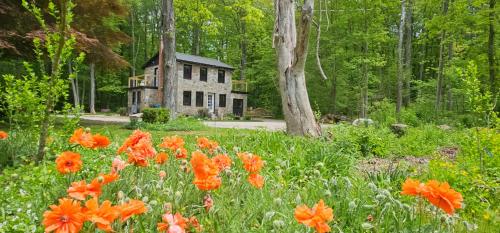 Clinton’s Hidden Secret a Distillerie until 1926 in Clinton, United States