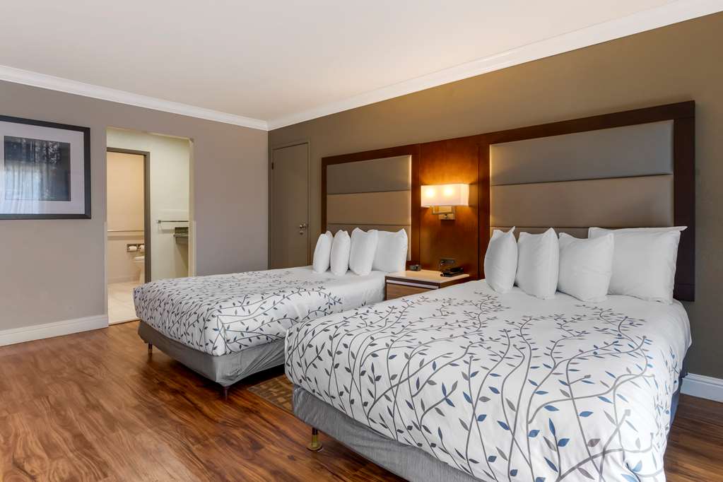 Best Western Plus Forest Park Inn - photo 34
