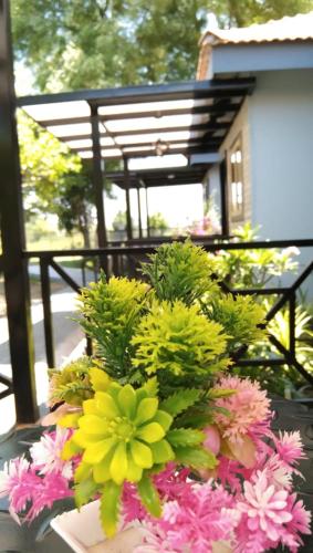 Agralam Cottages @Raghunandan Resort in Nashik, India