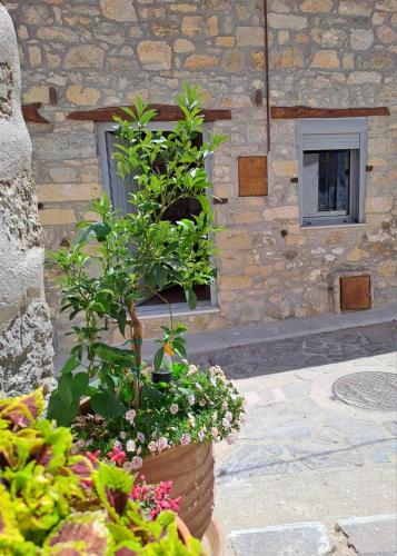 Prina Stone Retreat in Ierapetra, Greece