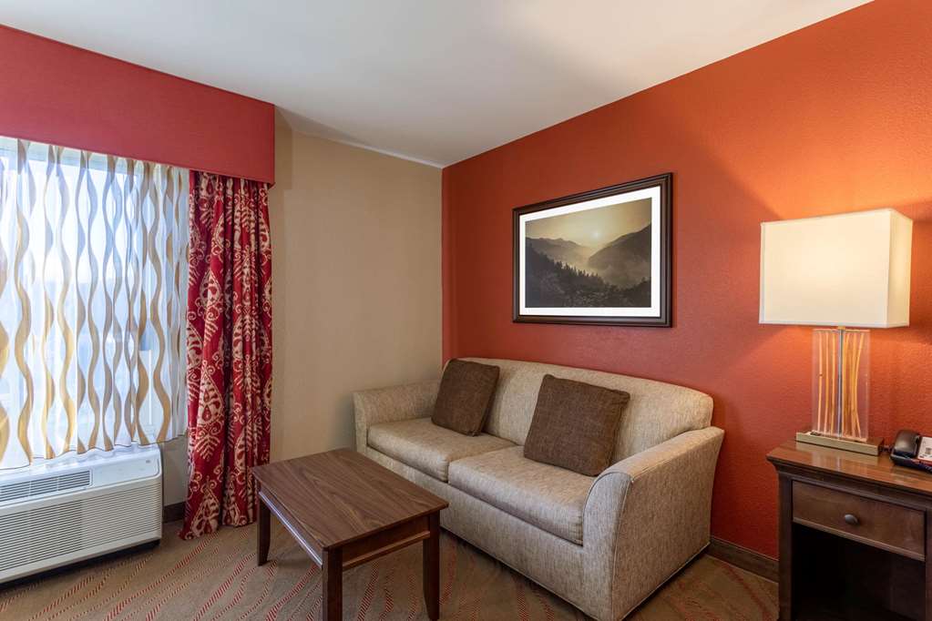 La Quinta Inn & Suites by Wyndham Pigeon Forge - photo 19