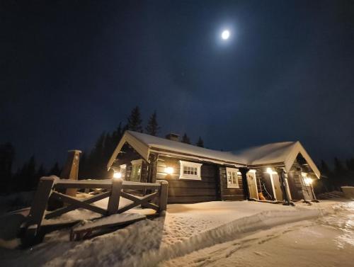 Bånseterlodgen - carbon neutral hotel in Unknown City