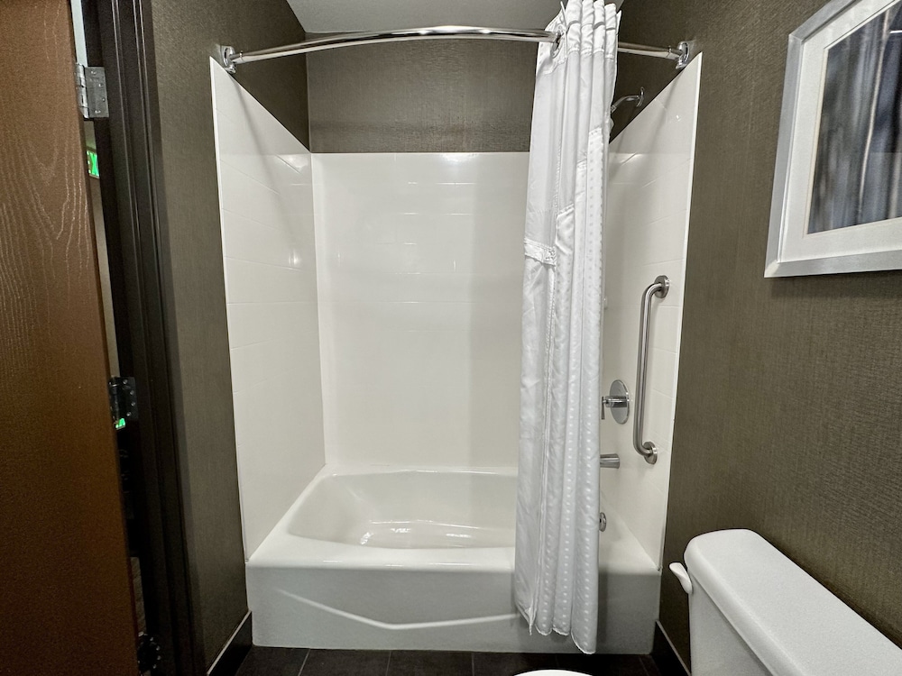 Holiday Inn Carlsbad by IHG - photo 19