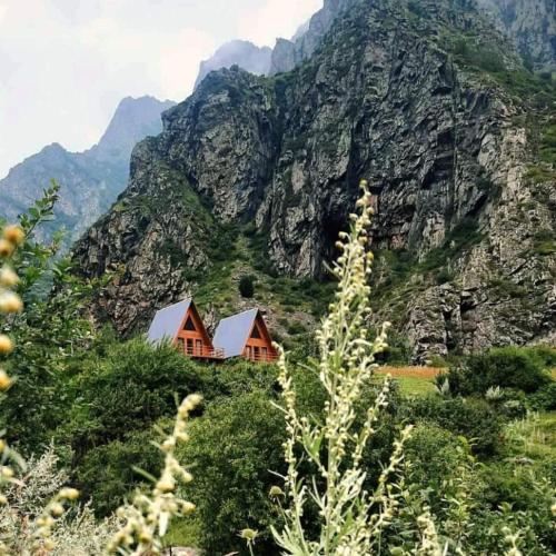Off Inn Kazbegi