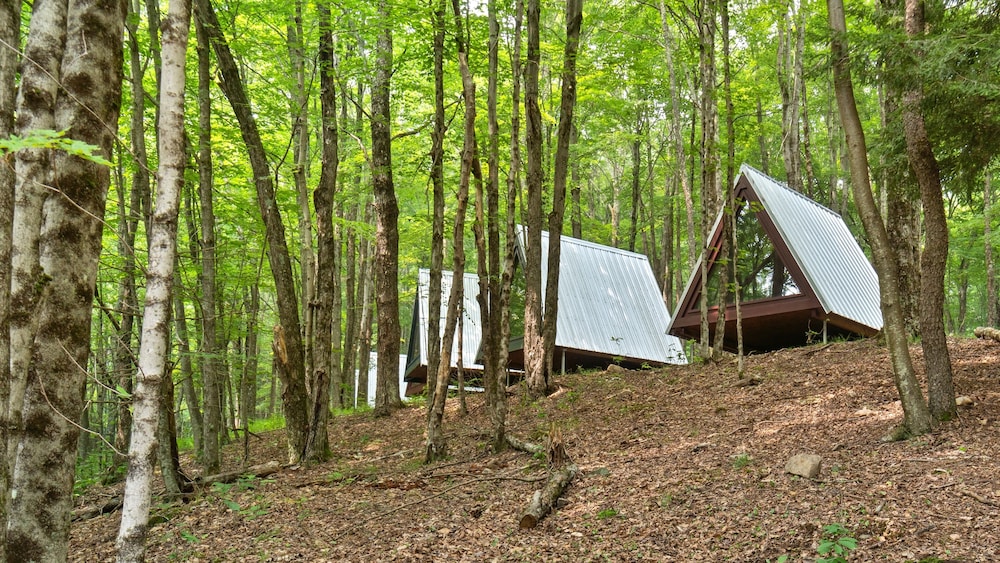 Callicoon Hills - photo 19