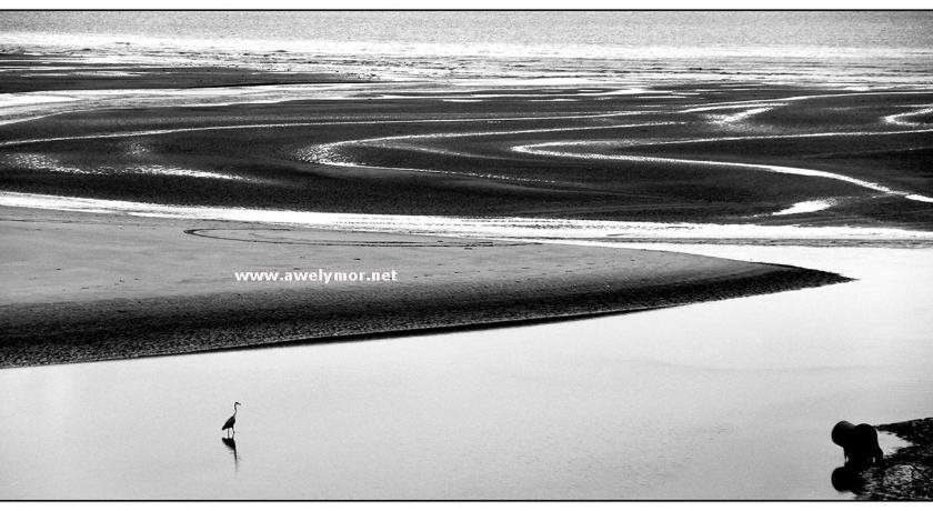 Awel y Mor — Llanelli — photo 4
