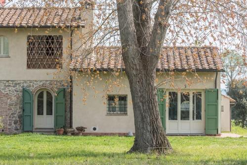 Relax verde e mare in Viareggio, Italy