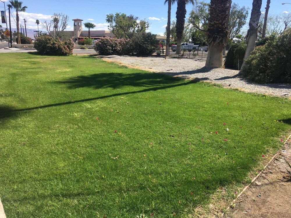 Palm Shadow Inn - photo 13