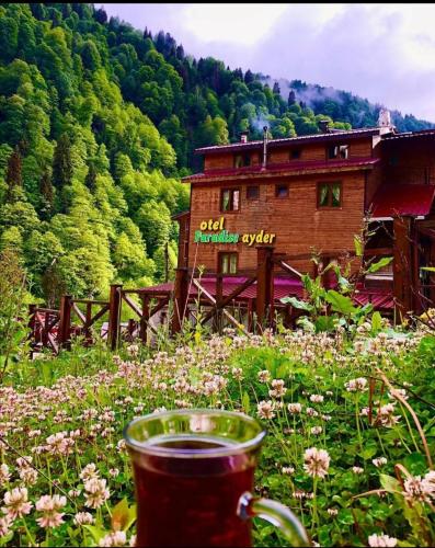 Ayder Paradise Otel - carbon neutral hotel in Camlihemsin