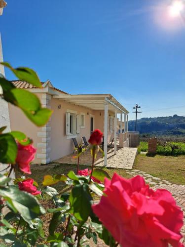 Vasilopoulos Estate — 4-Star Luxury Hotel in Koroni, Greece