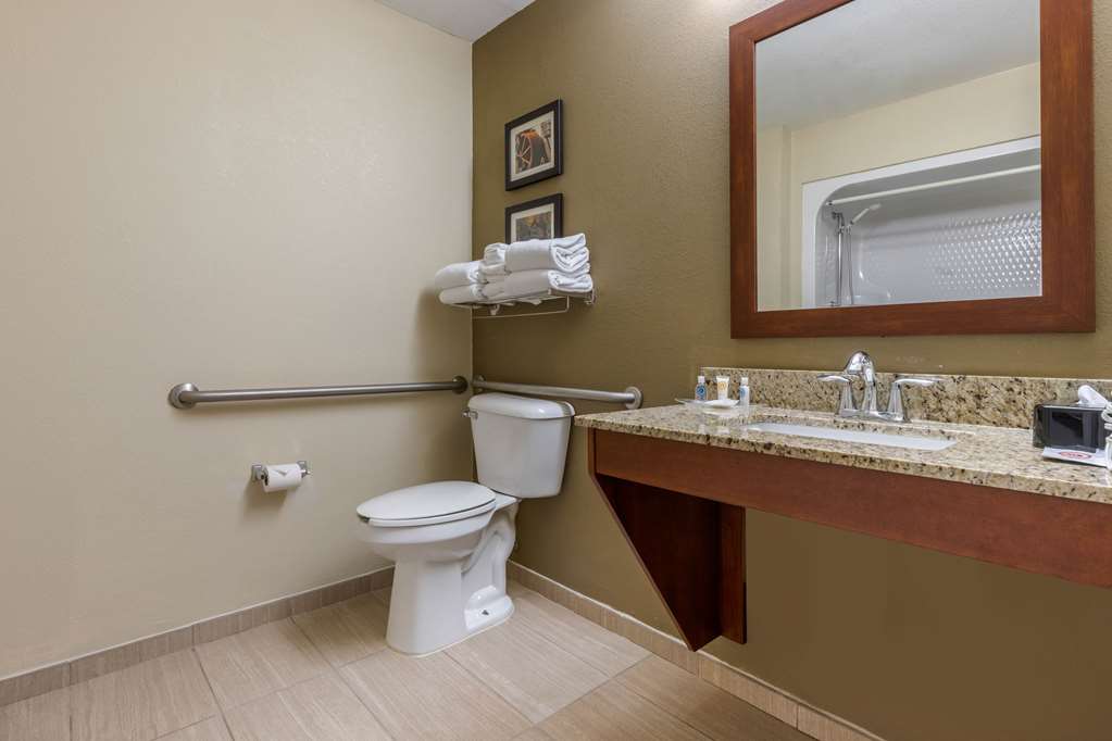 Comfort Suites Johnson City near University - photo 15