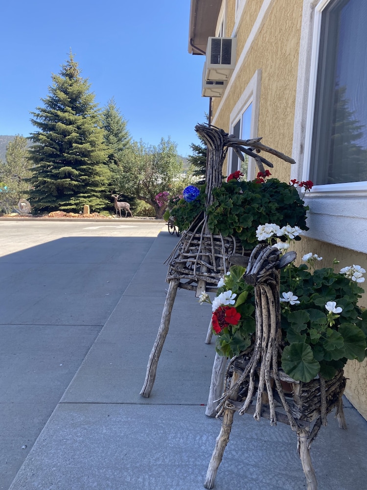 Browns Canyon Inn - photo 92