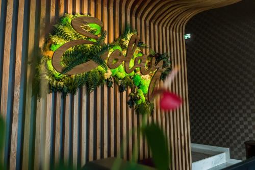 Solay in Oradea, Romania