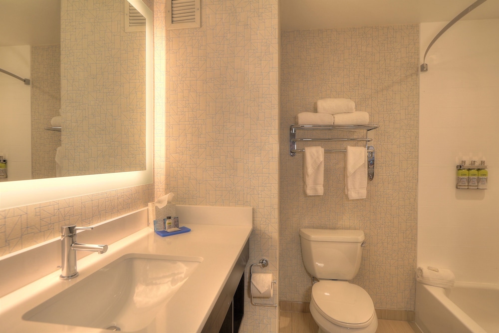 Holiday Inn Express Hotel & Suites Mobile Saraland by IHG - photo 47