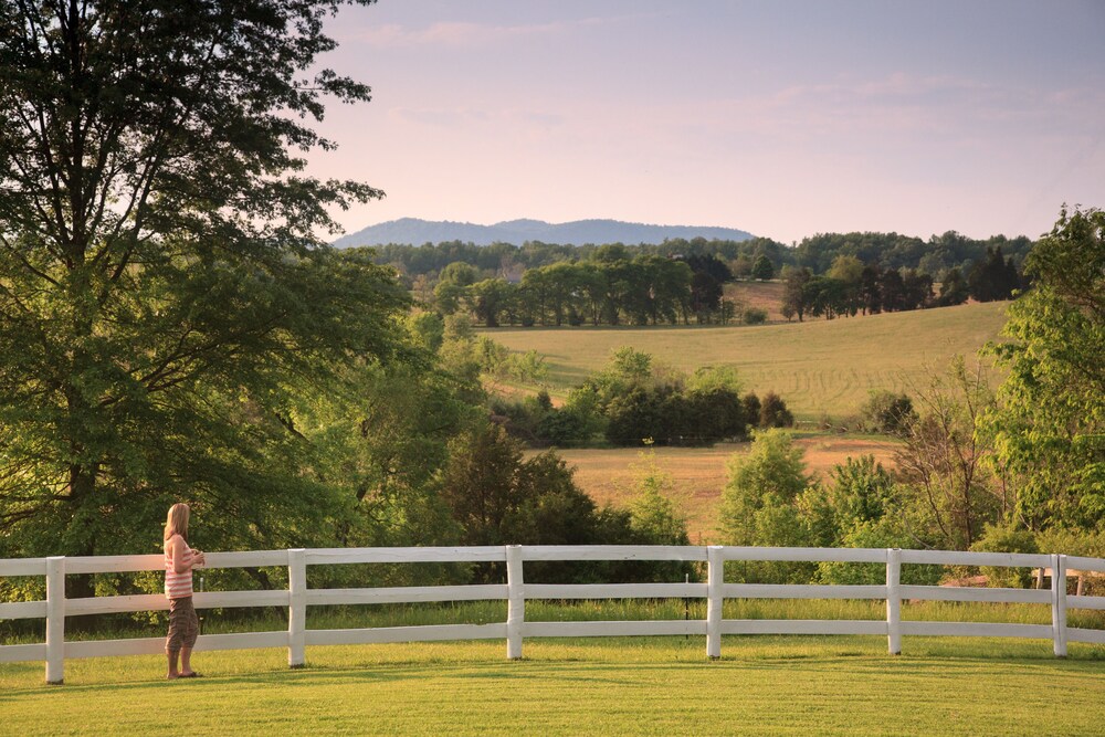 Inn At Meander Plantation - photo 17