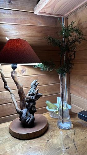 Cabaña Mawinda in Pucon, Chile