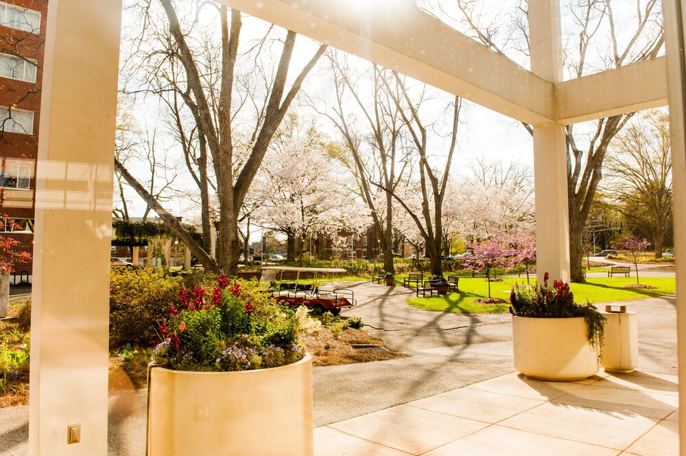 The University of Georgia Center for Continuing Education & Hotel - photo 82