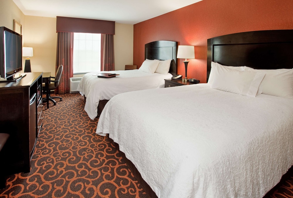 Hampton Inn & Suites Dickinson - photo 15