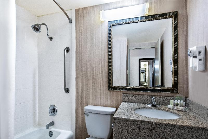 Holiday Inn Dallas Dfw Airport Area West - photo 11