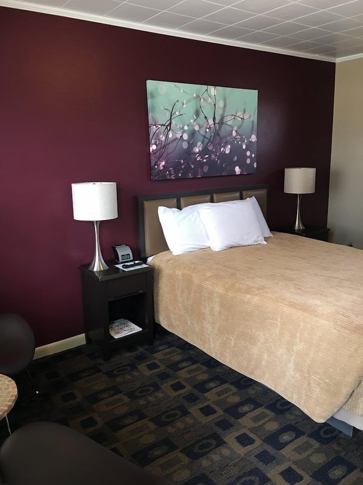 The Triangle Motel - photo 10