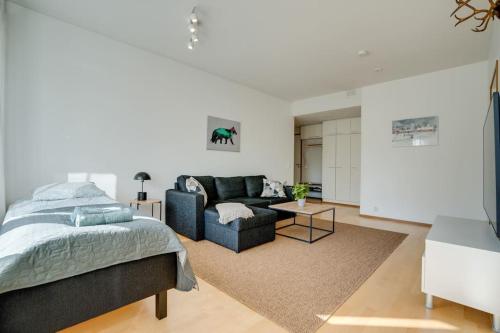 Aurora Fox Suviheina in Rovaniemi, Finland