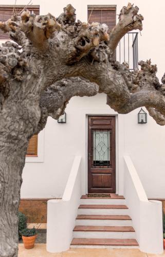 Rebesnéts de Bofranch in Deltebre, Spain