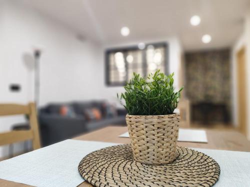 Fernando Quero 21 - carbon neutral hotel in Andujar