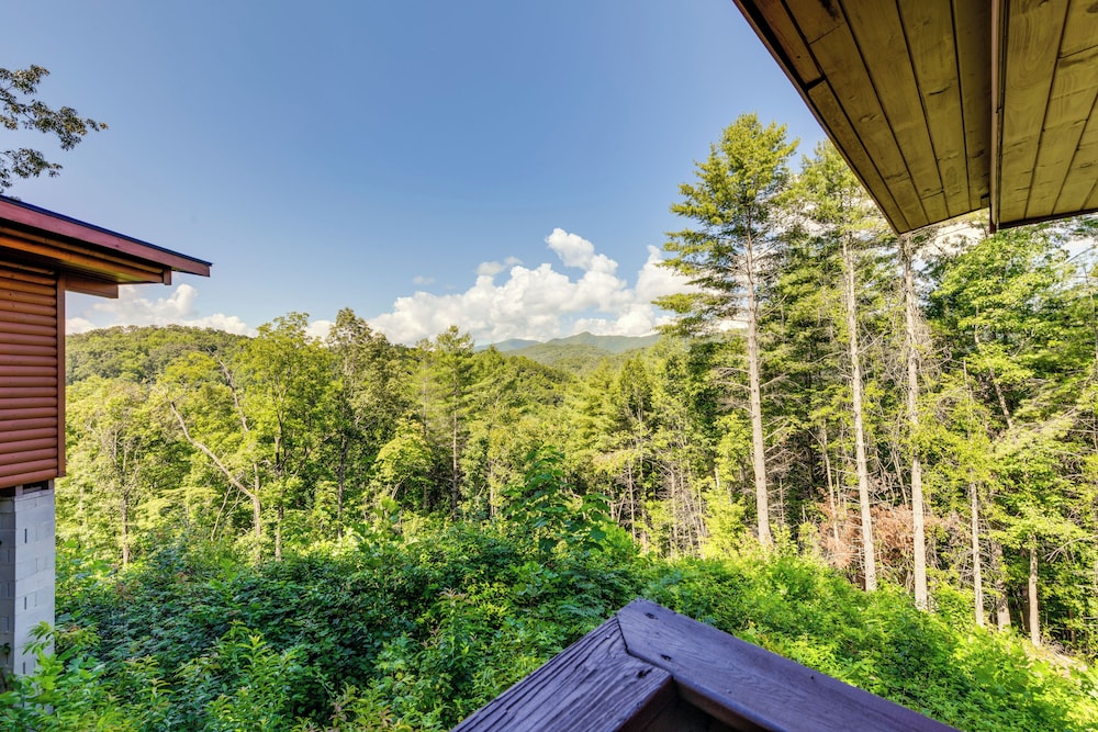 Bryson City Cabin in Smoky Mtn W resort Amenities - photo 21