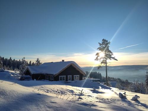 Coazy cabin with sauna — 4-Star Luxury Hotel in Innbygda, Norway