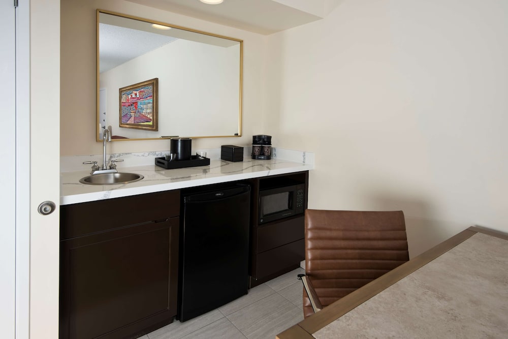 Embassy Suites by Hilton Phoenix Scottsdale - photo 20
