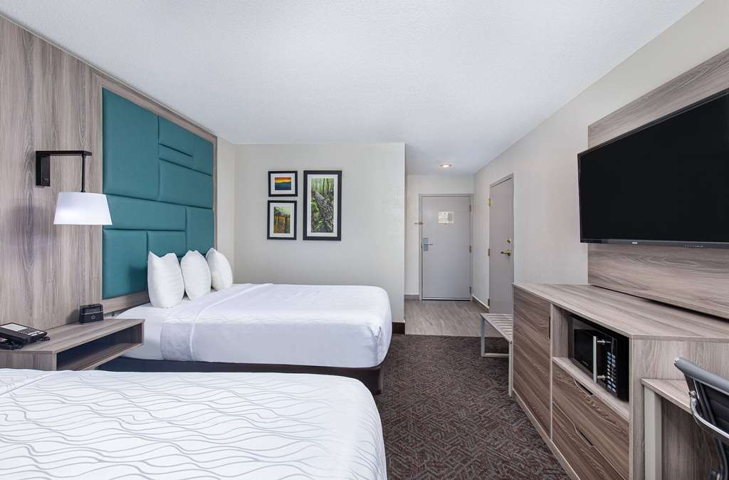 La Quinta Inn by Wyndham Pigeon Forge Dollywood - photo 12