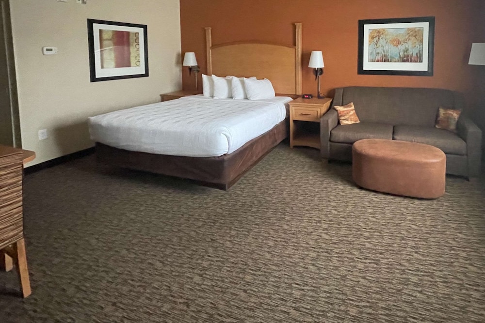 MainStay Suites Sidney Medical Center - photo 10