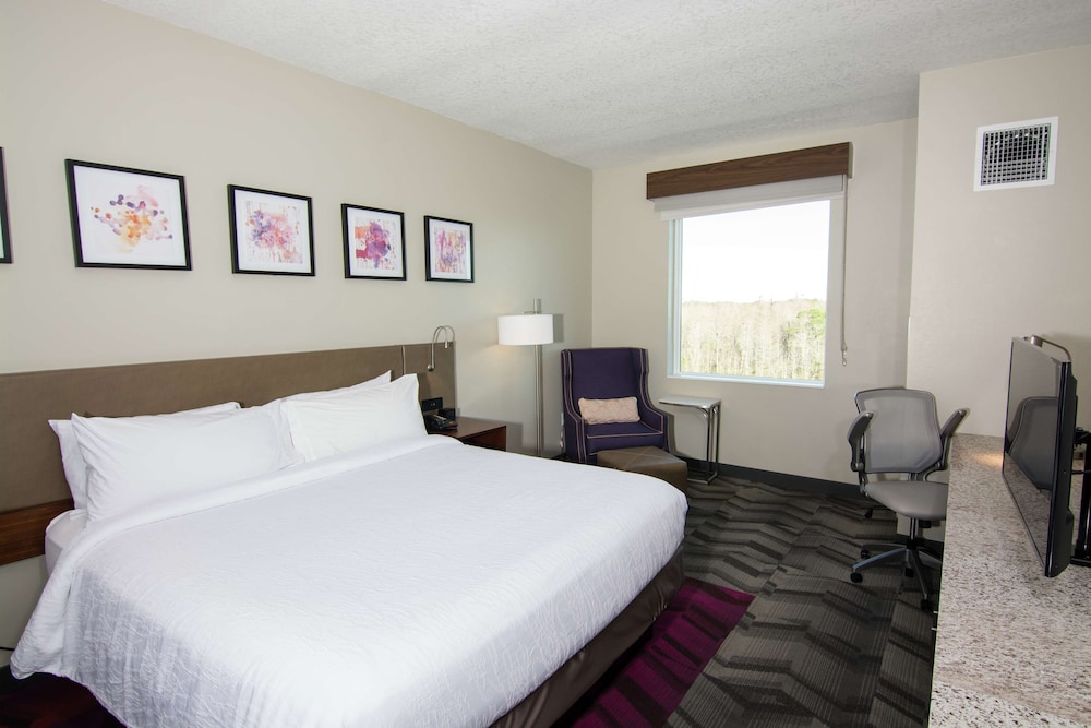 Hilton Garden Inn Tampa Suncoast Parkway - photo 29