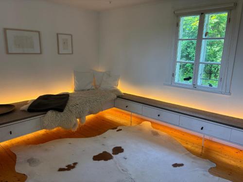 Hus Solgården — Mariestad — photo 4