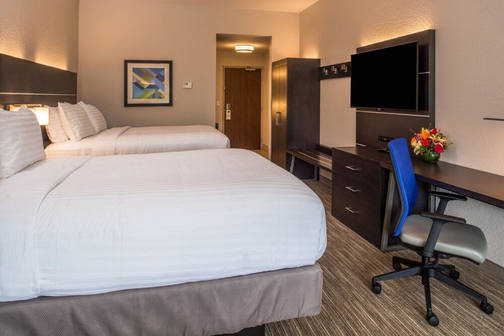Holiday Inn Express & Suites Tampa North Wesley Chapel by IHG - photo 9