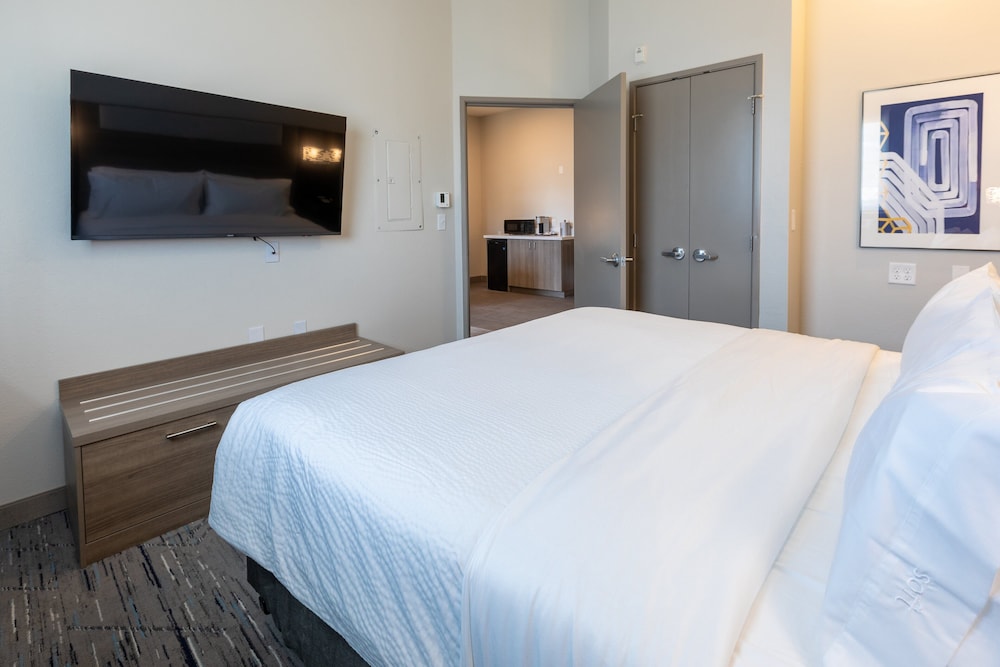 Holiday Inn Express & Sts Englewood Denver South - photo 9