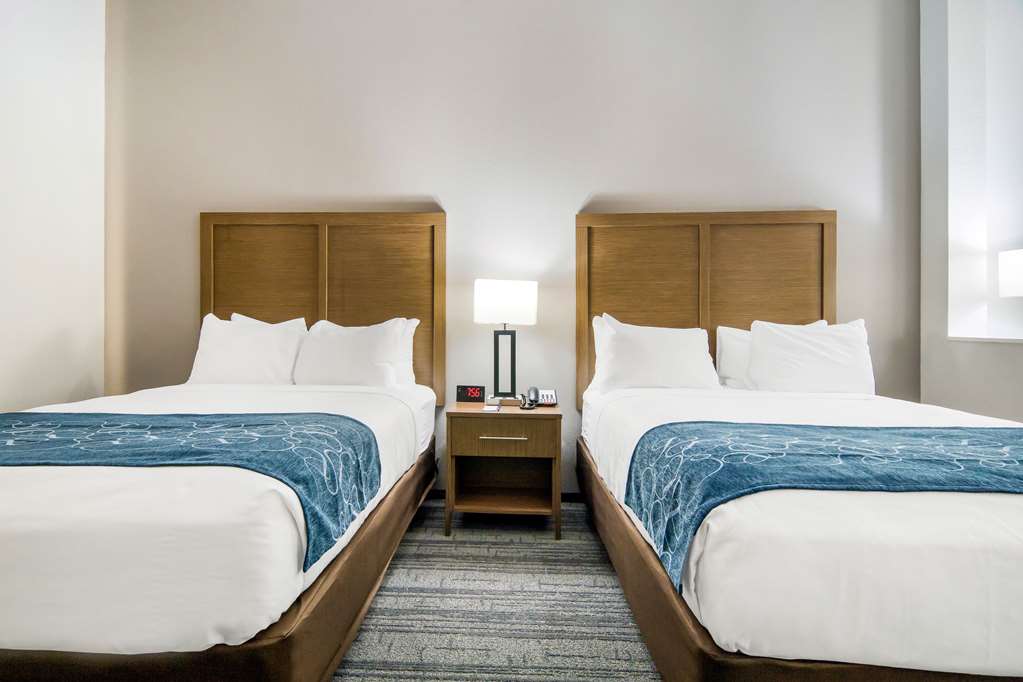 Comfort Suites DeSoto Dallas South - photo 33