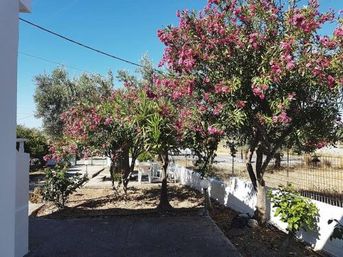 Chrisanthi Studios - carbon neutral hotel in Rodos