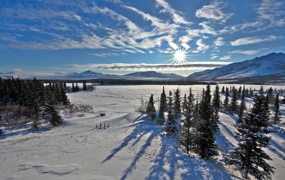 Denali Lakeview Inn - photo 16