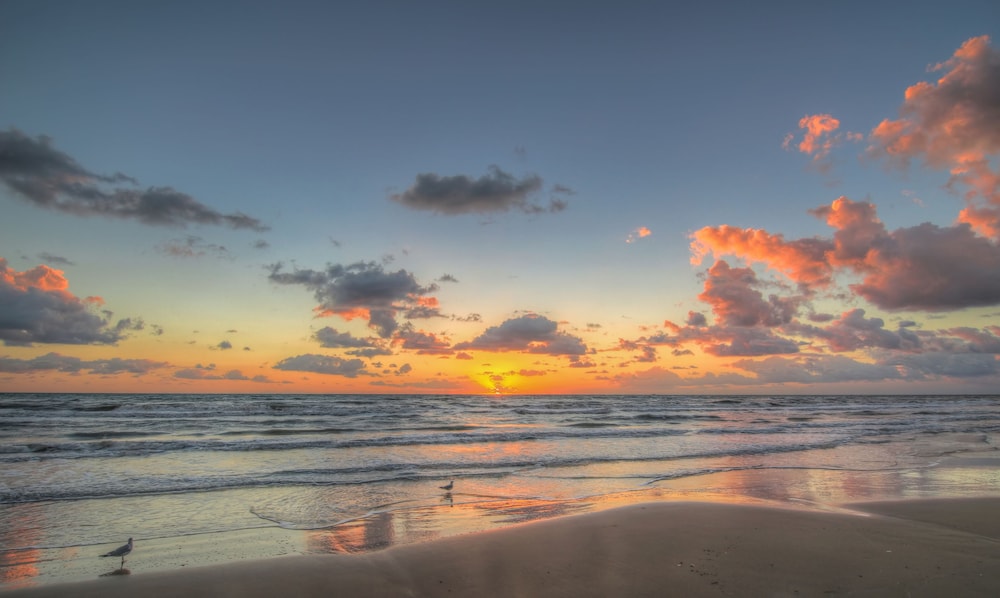 Holiday Inn Resort South Padre Island Beach Front by IHG - photo 123