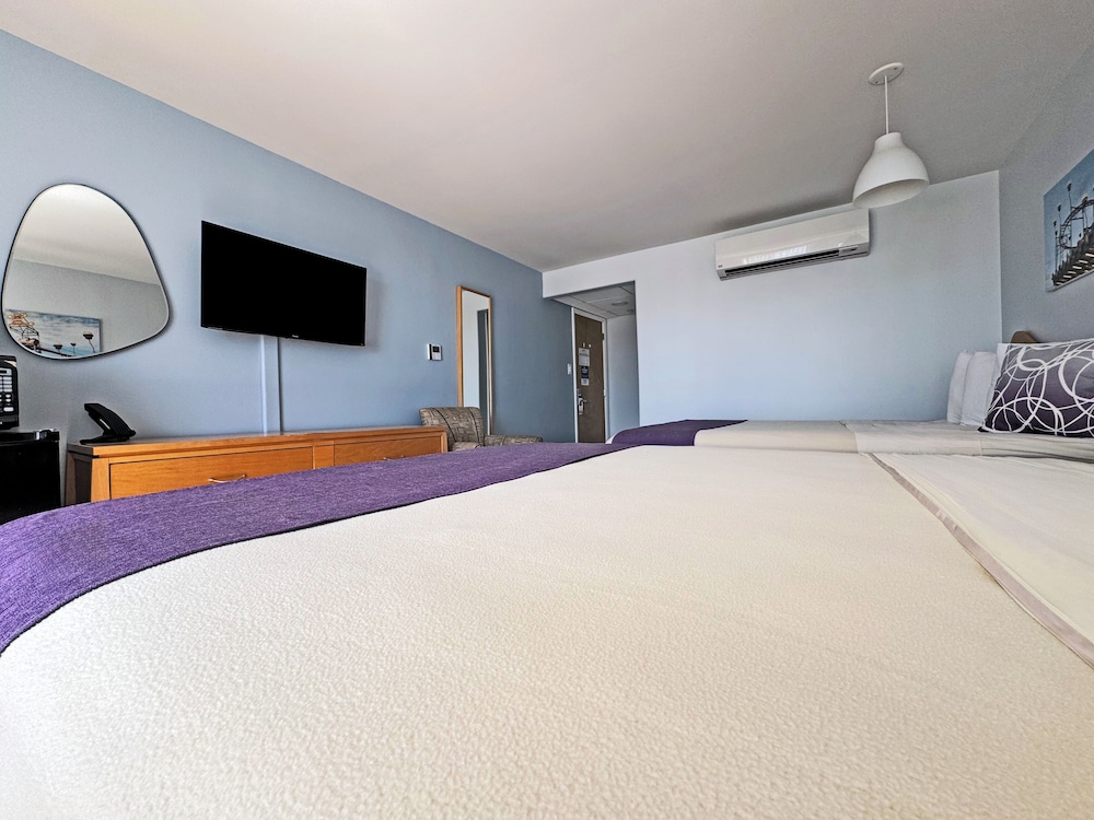 Shalimar Resort - photo 15