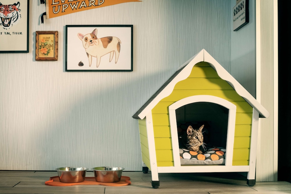 the Curtis Denver a DoubleTree by Hilton Hotel - photo 3