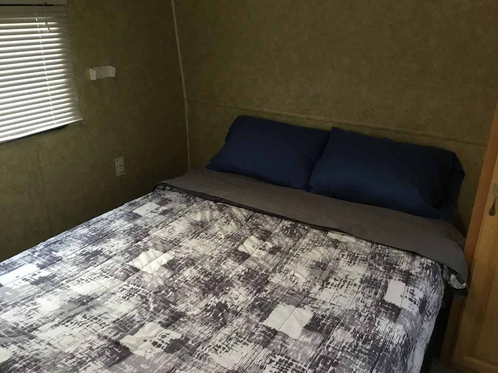 Palmetto Oasis RV Resort - photo 6