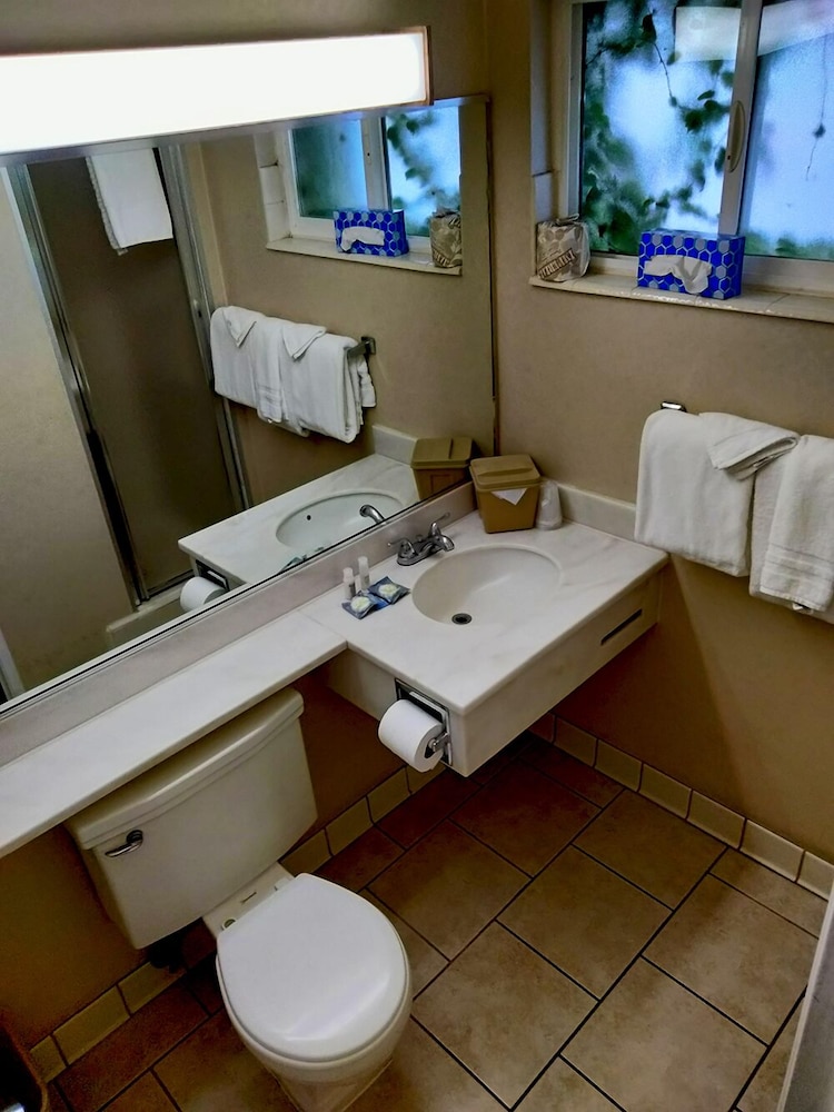 The Metropolitan Inn - photo 5