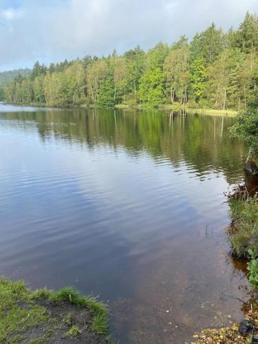 Populära ön in Halmstad, Sweden