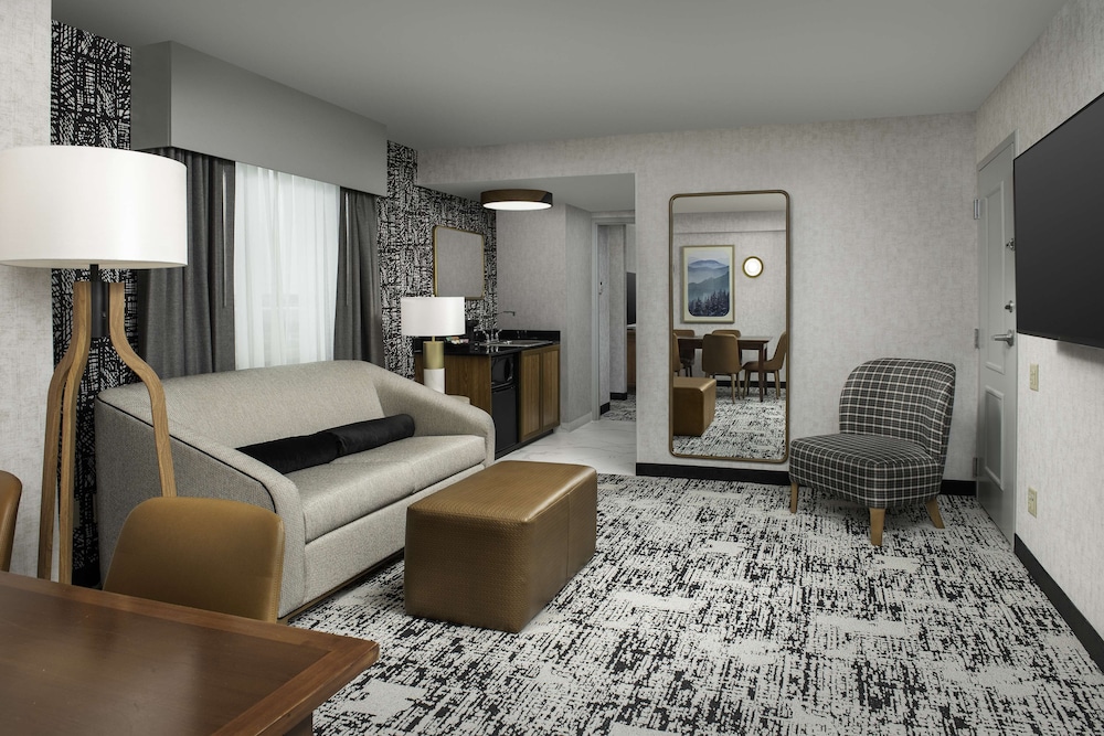 Embassy Suites by Hilton Dulles North Loudoun - photo 15