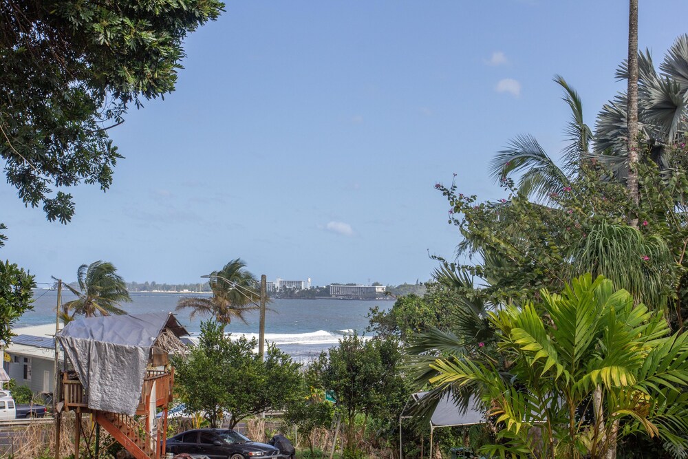 Wild Ginger Inn Hotel - photo 43
