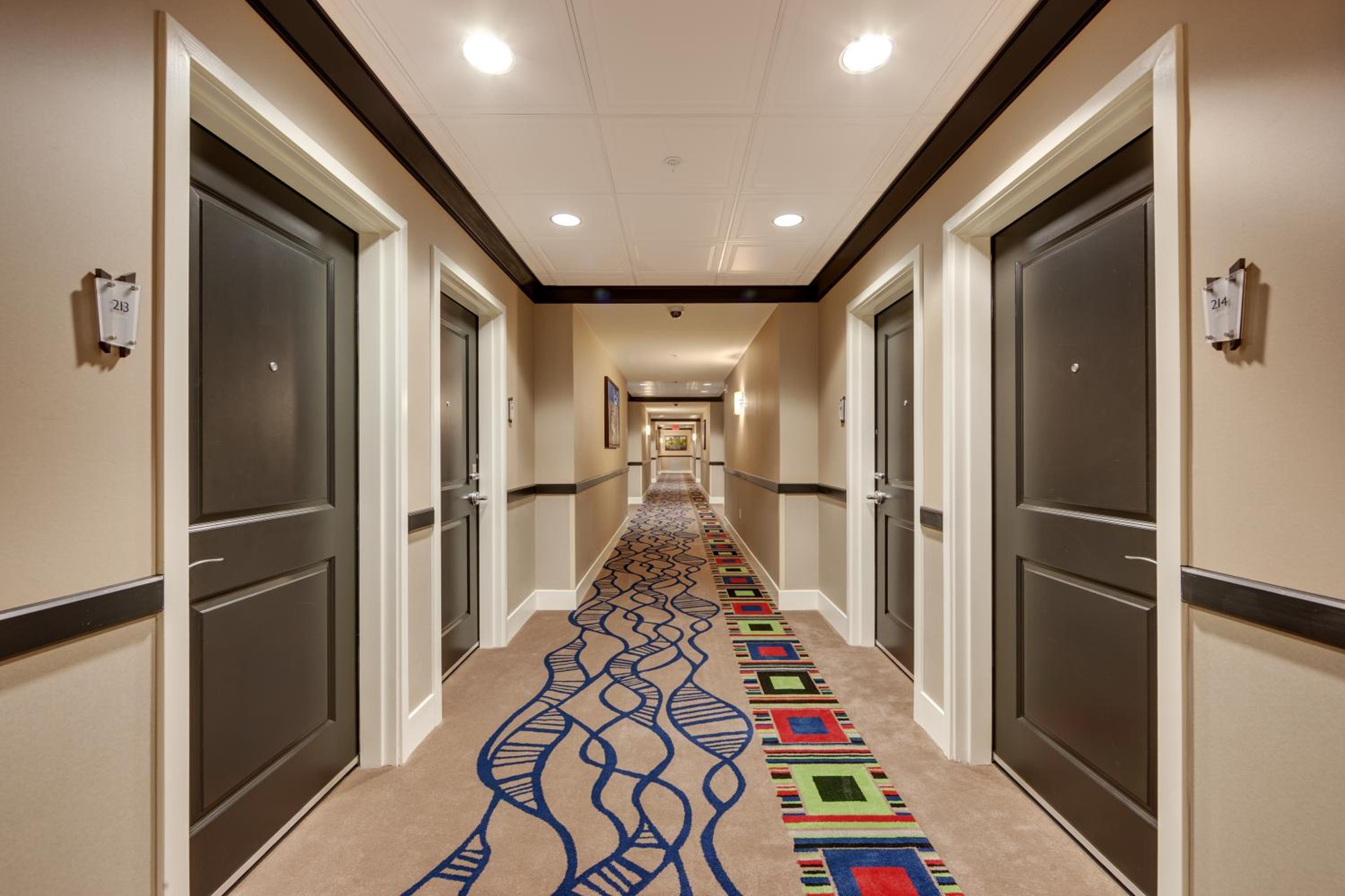 Cypress Bayou Casino Hotel - photo 12