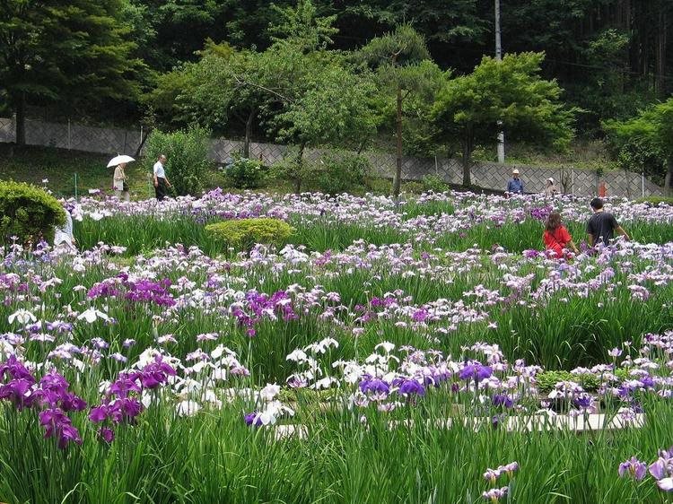 Kokuminshukusha Ryoukamiso in Chichibu, Japan